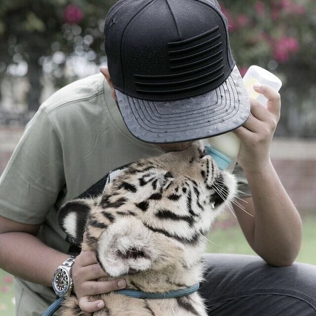 Thieu gia Dubai 15 tuoi ngap trong hang hieu, nuoi 400 dong vat hinh anh 5