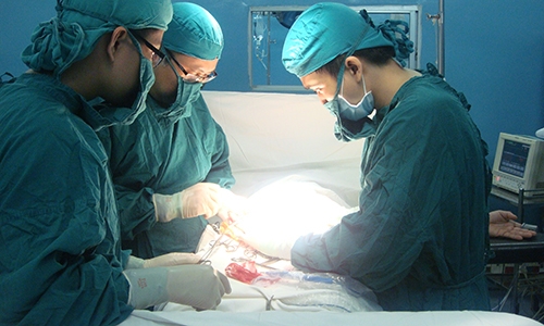 Kết quả hình ảnh cho phẫu thuật dương vật