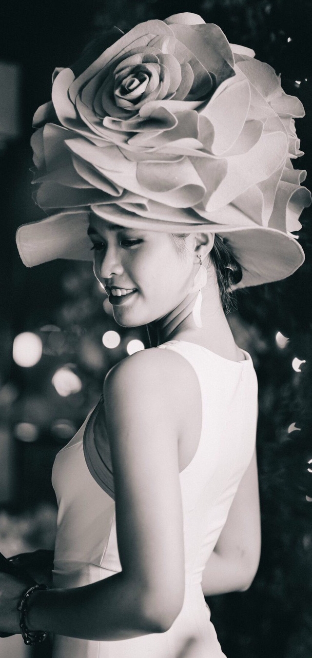 Mặc dù theo học ngành quản trị kinh doanh nhưng cô lại muốn trở thành tiếp viên hàng không, để được gặp gỡ, giao lưu với nhiều người, ngắm mọi cảnh đẹp trên khắp Việt Nam. Ngoài ra, Mai Anh còn ước mơ được sải bước trên sàn catwalk khi cô còn trẻ và được ghi tên vào danh sách những người đẹp xuất thân từ Hải Phòng.