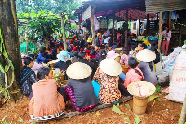 gia lai: trong nua thang, mot gia dinh 3 nguoi chet khong ro ly do hinh anh 1