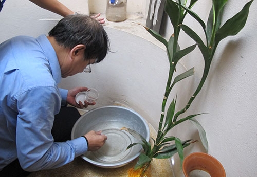 bo-gay-o-o-sot-xuat-huyet-ha-noi-van-song-sau-phun-thuoc-diet-muoi-1