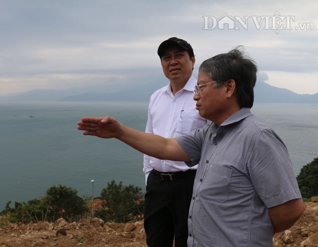 can lam ro ong dao tan cuong de doa chu tich da nang vi ly do gi? hinh anh 1