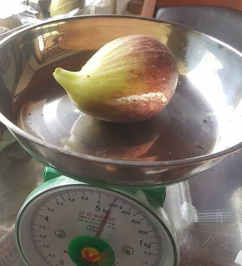 sung Mỹ, hoa quả độc lạ, hoa quả cao cấp, đặc sản nhà giàu