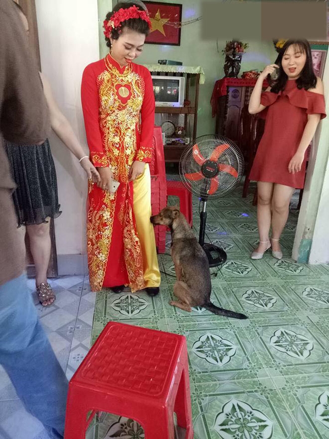 biet co chu sap di lay chong, chu cho lien tuc om chan niu keo hinh anh 4