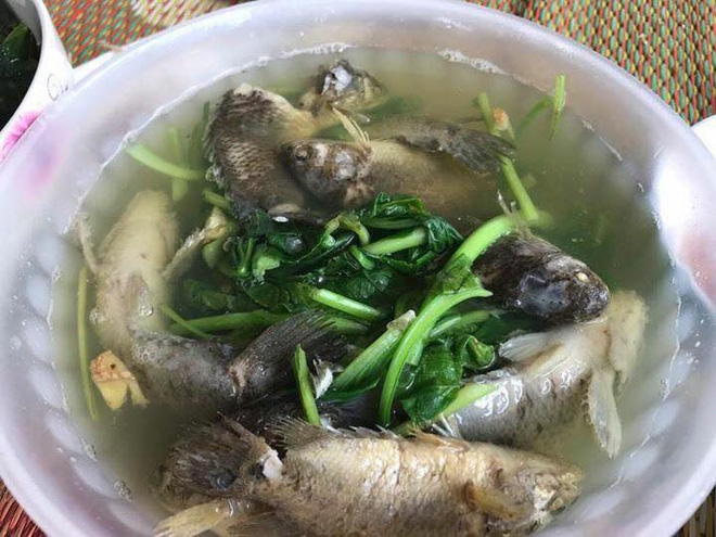 Chồng thèm ăn canh cá rô nấu rau cải, vợ tức tốc ra chợ mua về nấu và cái kết bi ai chưa từng có - Ảnh 2.