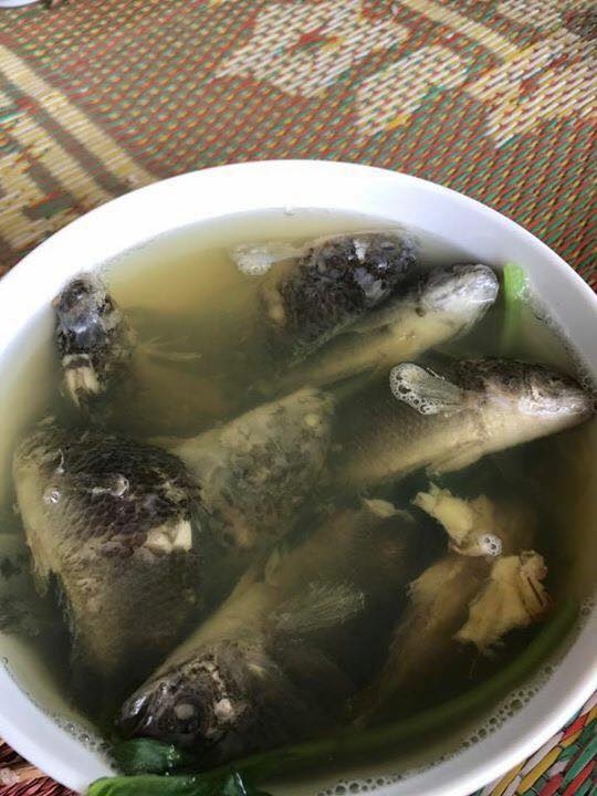 Chồng thèm ăn canh cá rô nấu rau cải, vợ tức tốc ra chợ mua về nấu và cái kết bi ai chưa từng có - Ảnh 3.