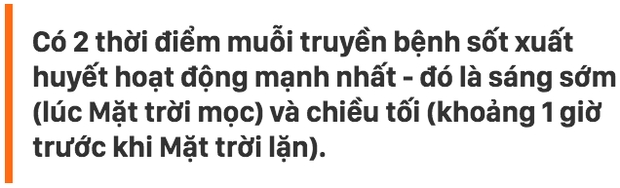 Đây là 2 thời điểm trong ngày bạn cần phải chú ý nhất khi dịch sốt xuất huyết đang báo động đỏ như hiện nay - Ảnh 2.