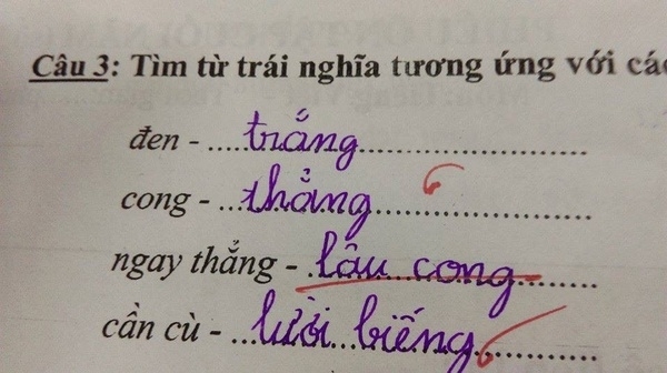 Câu trả lời chính xác vậy mà cô giáo còn gạch đi.