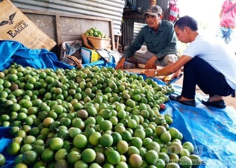 Thue giang ho 'dan mat' nguoi trong chanh day hinh anh 1