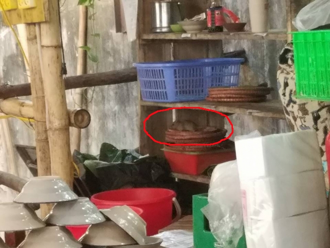 Mẹt đựng đồ ăn của nhà hàng này được các chú chuột ghé thăm, liếm láp tiềm ẩn nguy cơ dịch bệnh cho khách hàng.