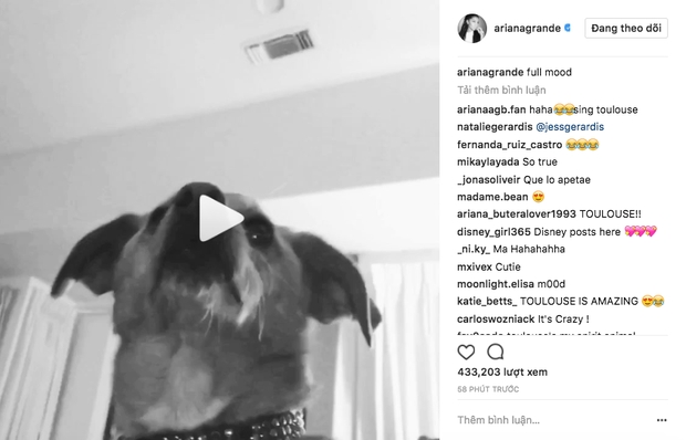 Ariana Grande đăng tải clip đầu tiên sau khi rời Việt Nam: Muốn ám chỉ điều gì? - Ảnh 2.