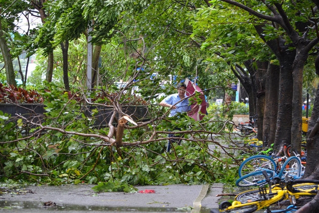 Via he vo nat, oto chim nghim trong sieu bao Hato o Trung Quoc hinh anh 4