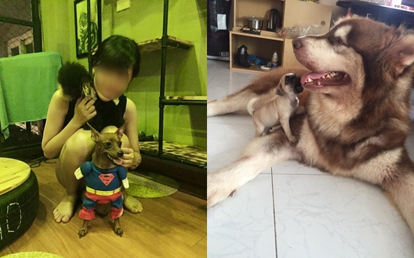 Con gái độc thân, 25 tuổi, ở giữa Hà thành phồn hoa, tiêu hết 12 triệu/ tháng là nhiều hay ít? - Ảnh 2.