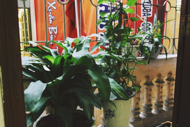 Báo động đỏ đại dịch sốt xuất huyết: Sinh viên lao đao vì phải nghỉ học, hoãn thi - Ảnh 8.
