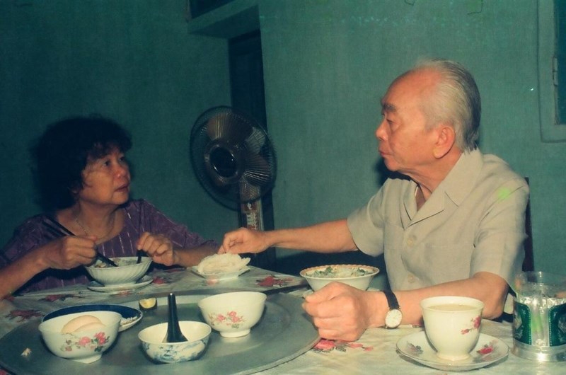 Đại tướng Võ Nguyên Giáp, Võ Nguyên Giáp