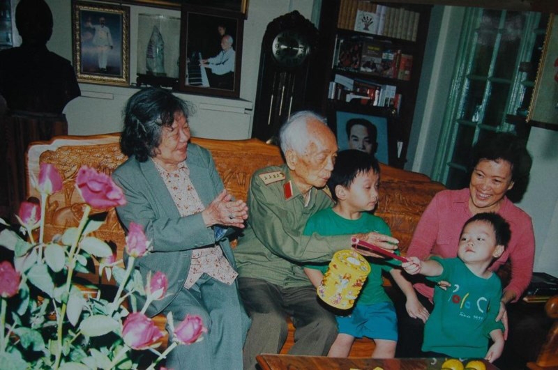 Đại tướng Võ Nguyên Giáp, Võ Nguyên Giáp