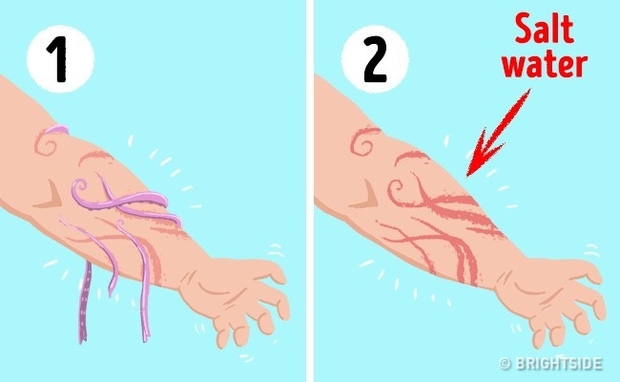 Thuộc lòng 6 bí kíp sinh tồn để có thể tự cứu mạng mỗi khi ngàn cân treo sợi tóc - Ảnh 3.