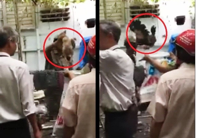vu be khoa vao nha dan bat ga: khong co can bo nao bi ky luat hinh anh 1