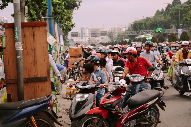 Hàng chục gian hàng gần sân bay Tân Sơn Nhất ồ ạt thanh lý chó, gà, cây cảnh, giao thông Sài Gòn hỗn loạn - Ảnh 10.