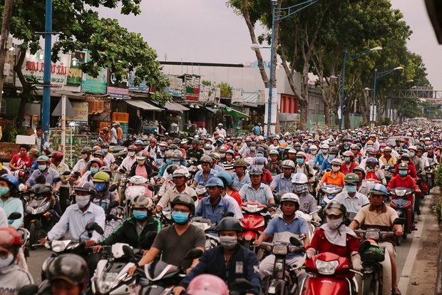 Hàng chục gian hàng gần sân bay Tân Sơn Nhất ồ ạt thanh lý chó, gà, cây cảnh, giao thông Sài Gòn hỗn loạn - Ảnh 14.