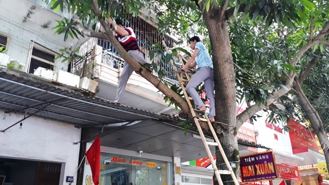 vu trom la o tiem vang ha tinh: day thay mat vang, cua khong bi cay hinh anh 3