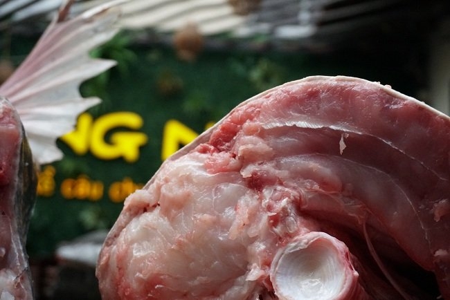 cá lăng, thủy quái, cá khủng