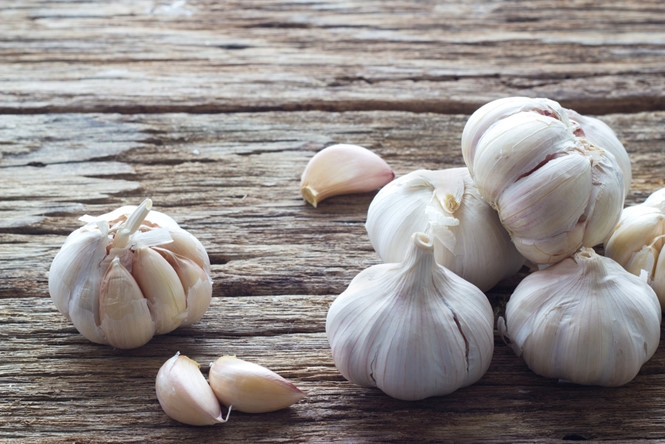 Tỏi có thể khắc phục chứng biếng ăn /// Ảnh: Shutterstock
