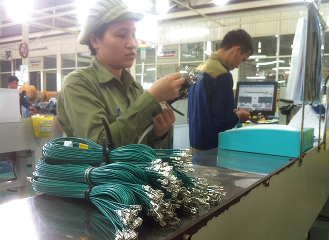  Các linh kiện sản xuất tại Việt Nam, sau hơn 20 năm với các chính sách bảo hộ của Nhà nước, vẫn chỉ là những vật tư có hàm lượng chất xám thấp, giá trị không cao, như dây điện, ghế ngồi, ống xả, vật liệu nhựa... 