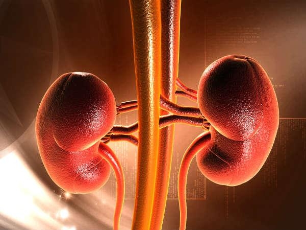Nước tiểu có bọt: Dấu hiệu báo động không thể bỏ qua - Ảnh 1.