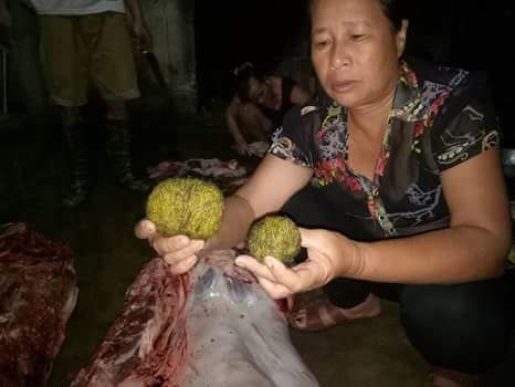 phat hien 2 vat the mau vang ong, co mui thom trong da day lon hinh anh 1