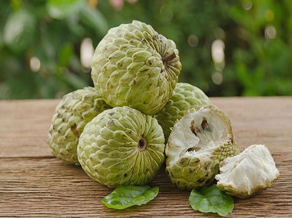 Những công dụng chữa bệnh của quả na bạn không nên bỏ qua nếu đang mắc những căn bệnh này - Ảnh 3.