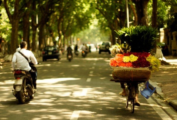 Dự báo thời tiết, áp thấp nhiệt đới, bản tin thời tiết, tin thời tiết, thời tiết Hà Nội