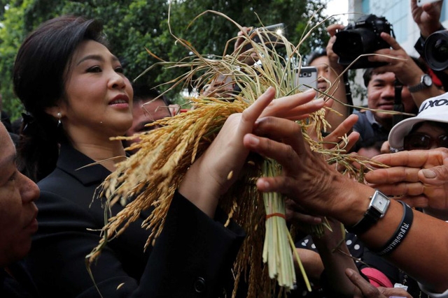  Người ủng hộ tặng bà Yingluck những bông lúa tại Bangkok để thể hiện sự trân trọng với chính sách gây tranh cãi của bà. (Ảnh: Reuters) 