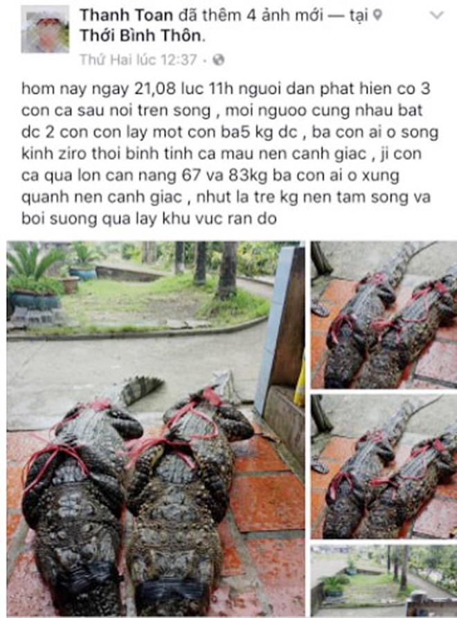 Nguoi cho ca sau bia chuyen tren Facebook bi phat 10 trieu dong hinh anh 1