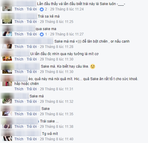 Cười ra nước mắt với sự thật đằng sau vụ án mua nhầm mít dởm chẳng có múi nào của chị gái nội trợ - Ảnh 4.