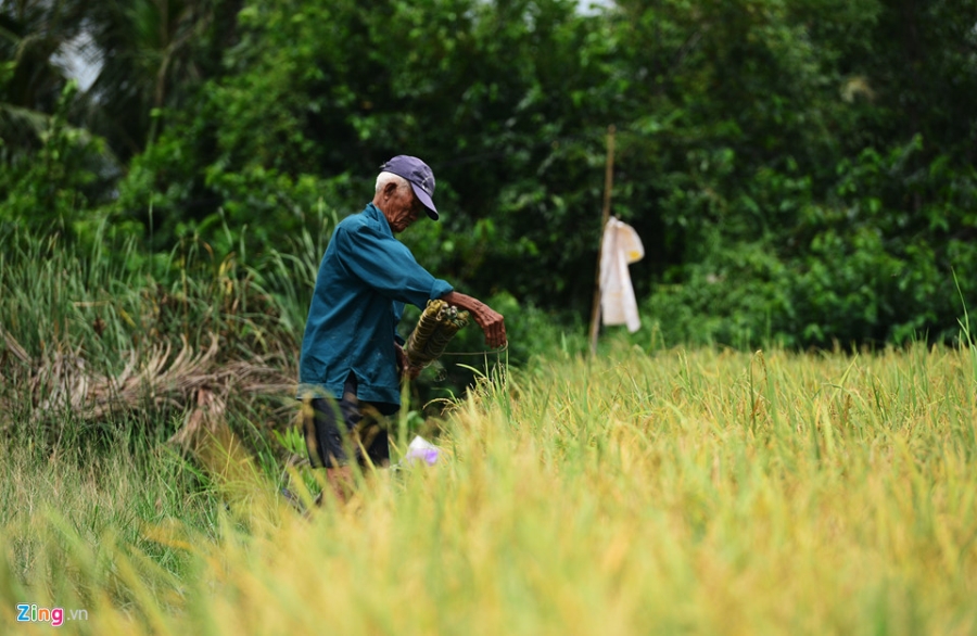 Ban dao Thanh Da, nong thon giua Sai Gon vi du an treo hon 20 nam hinh anh 19