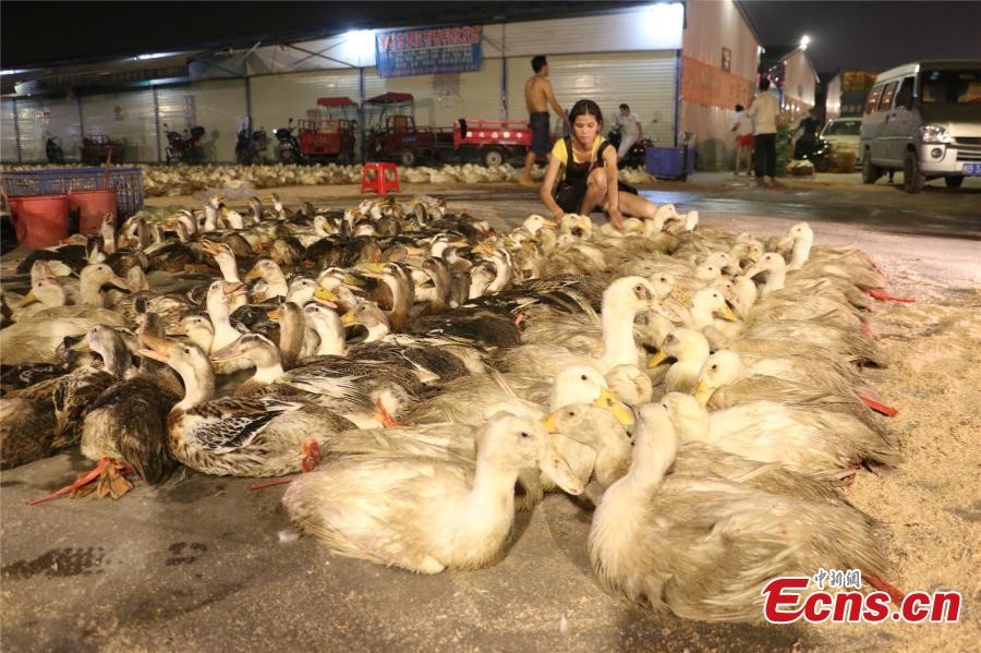 Nguoi Trung Quoc dot vang ma, an thit vit don Vu Lan hinh anh 5
