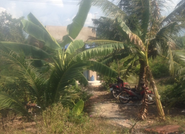 Thay giao tu vong trong tu the treo co ngay ngay khai giang hinh anh 1