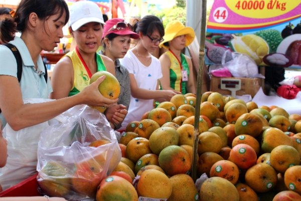 Nhiều mặt hàng xuất khẩu của Việt Nam đang phụ thuộc duy nhất vào thị trường Trung Quốc (ảnh minh hoạ)