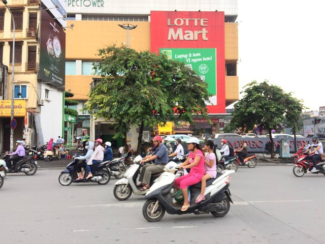 Ngôi nhà tiền tỷ nằm dưới tán cây