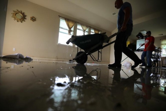 Mỹ: Người dân Texas trở về nhà sau siêu bão Harvey - ảnh 10