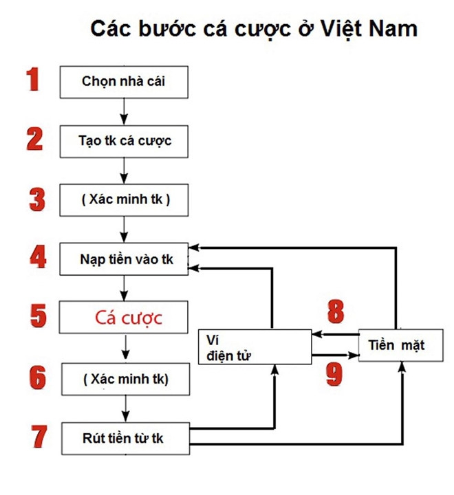 Bien tuong dich vu de thanh toan co bac, ca do bong da hinh anh 1