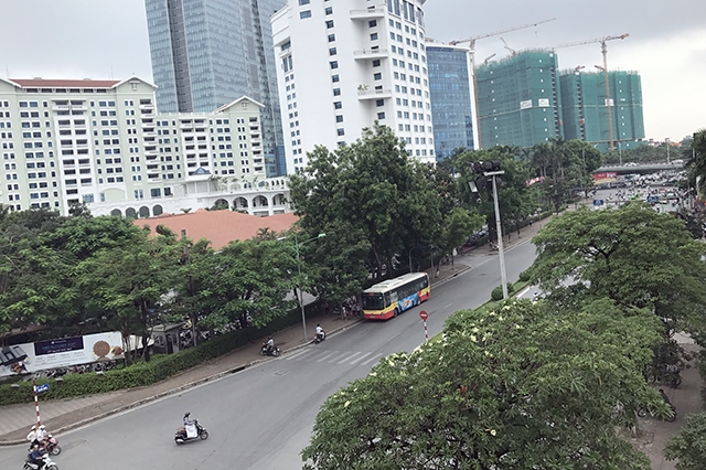 Sở Xây dựng Hà Nội đã cấp phép cho việc chặt hạ, đánh chuyển 130 cây xanh trên đường Kim Mã