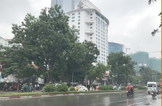  Trong 130 cây xanh, có 95 cây được đánh chuyển, 35 cây chặt hạ. Những cây được đánh chuyển đợt này được di dời trồng lại tại nút giao Vĩnh Ngọc trên Đại lộ Thăng Long. 
