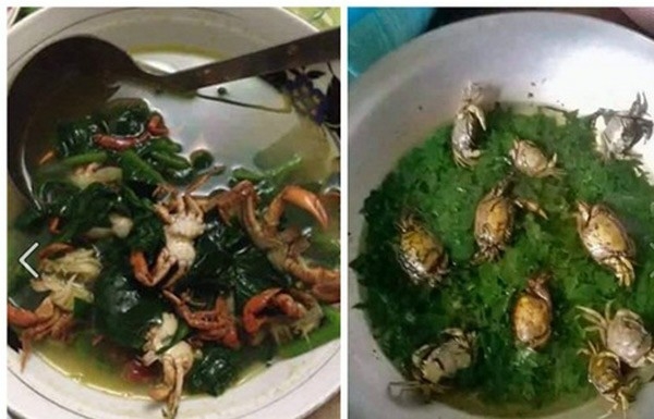 Cười bò với 