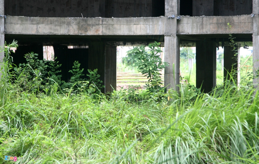 Du an benh vien 850 ty bo hoang sau 10 nam thi cong hinh anh 5