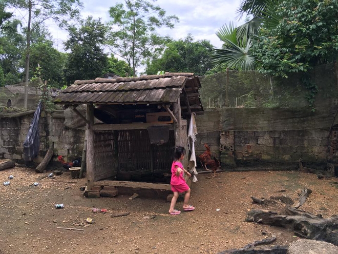 Tổng lương 12 triệu, tháng nào cũng tiêu hết 9 triệu đổ lên, cô vợ trẻ phát khóc vì không đủ tiền sửa nhà - Ảnh 4.