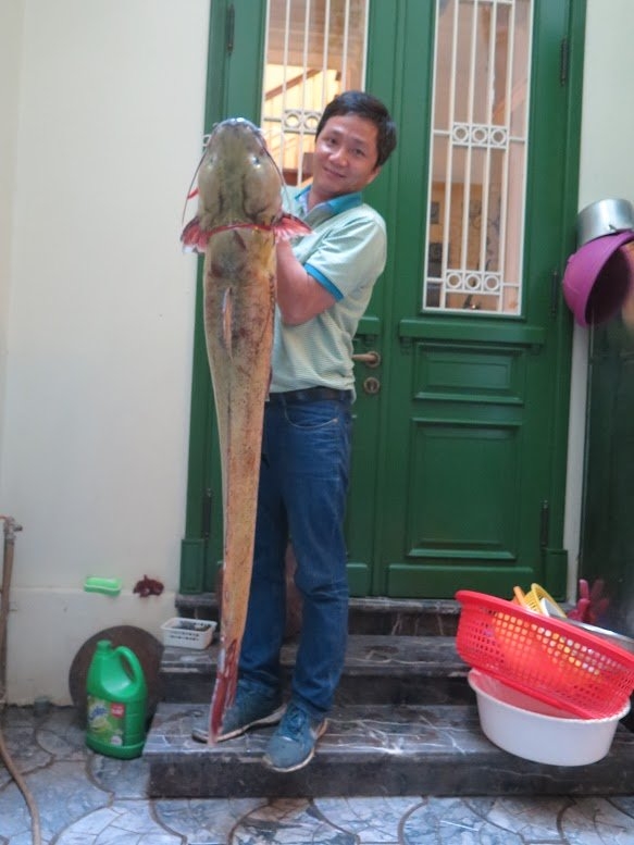 cá lăng, cá khủng, thủy quái, đặc sản