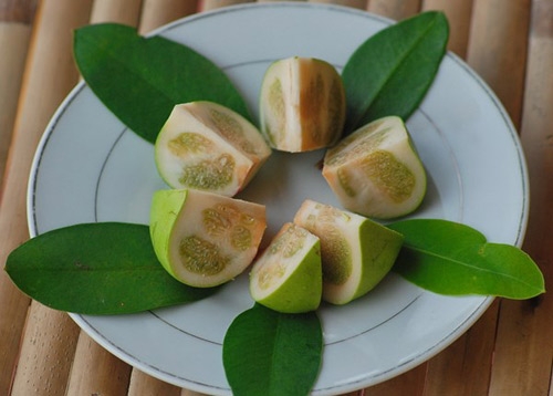 Việt Nam ngỡ là quả dại, sang 