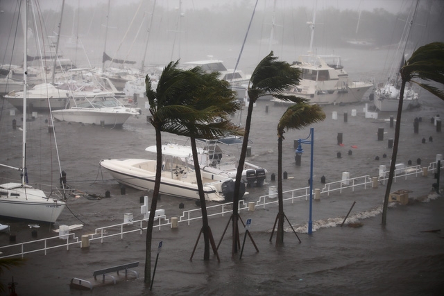 Trước đó, bão Irma đã khiến ít nhất 37 người thiệt mạng, bao gồm 10 người ở Cuba, và gây ra thiệt hại nặng nề về vật chất khi siêu bão này đổ bộ vào một loạt các đảo ở vùng Caribe.
